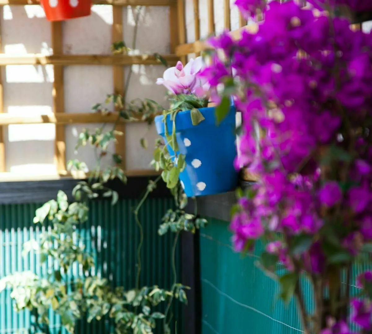 Apartamento Rosellon Barcelona 0*,  Spain